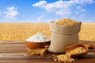 Wheat Flour