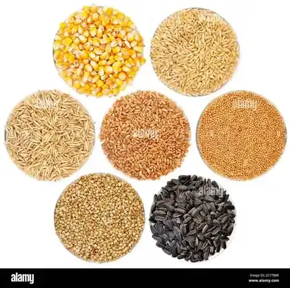 Food Staple