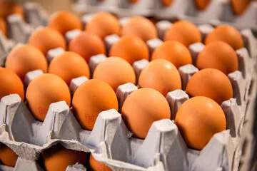 Eggs